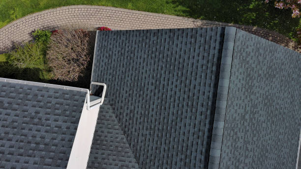 Best Roof Insulation Installation  in Eminence, KY